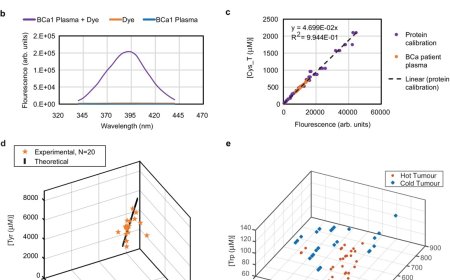 Detecting early-stage tumors with a blood sample