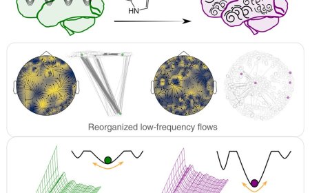 Complex slow waves in the human brain under 5-MeO-DMT