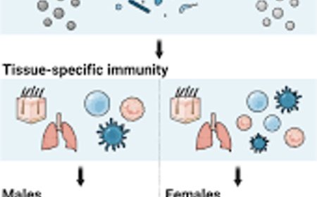 Sex differences in tissue-specific immunity and immunology