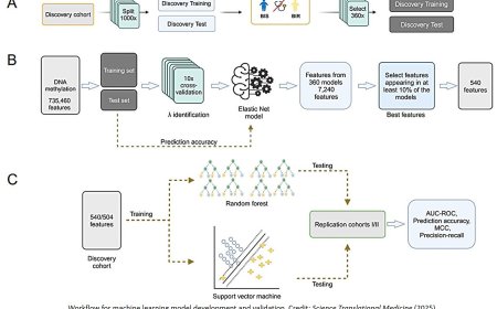 Circulating epigenetic signatures classifying brain insulin resistance in humans