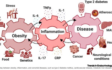 Repurposing metabolic drugs as anti-inflammatory agents