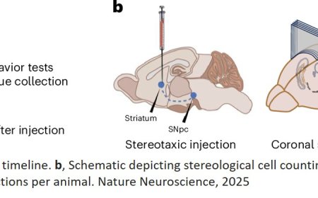 Hypoxia ameliorates neurodegeneration in Parkinson’s disease