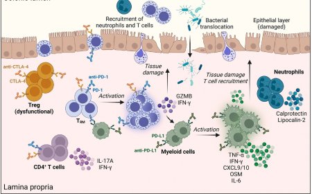 Immune-related colitis treatment after cancer immunotherapy