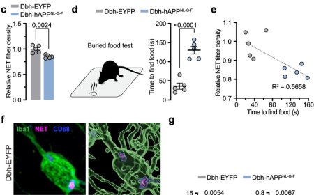 Early smell problem associated with Alzheimer’s linked to Locus Coeruleus noradrenergic axon loss