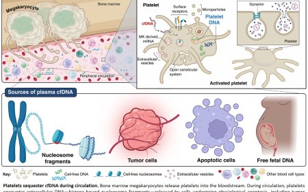 Platelets sequester extracellular DNA, capturing tumor-derived and free fetal DNA