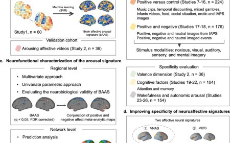 How the brain constructs emotional experiences