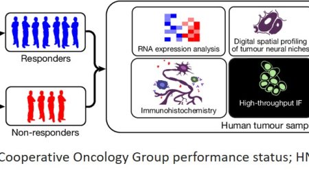 Cancer-associated nerve injury leads to chronic inflammation and immunotherapy resistance