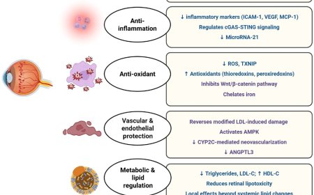 Fenofibrate in diabetic retinopathy and nephropathy