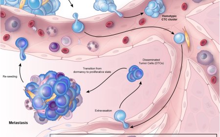 Circulating tumor cells!