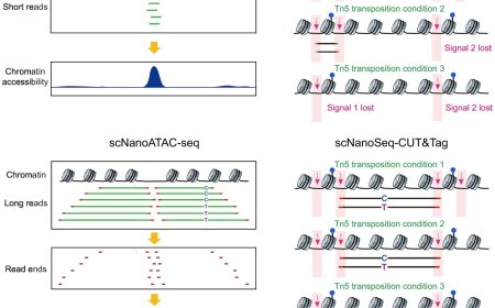 Single-cell omics sequencing technologies