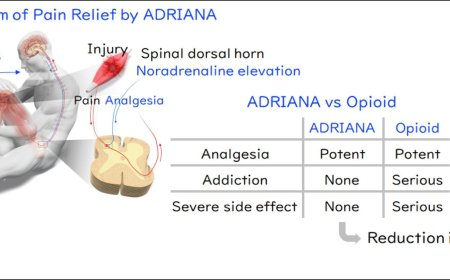 A new analgesic promises pain relief with fewer downsides