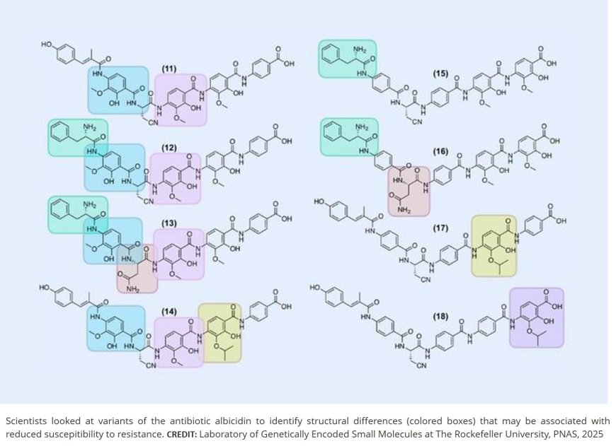 Novel platform to predict antibiotic resistance