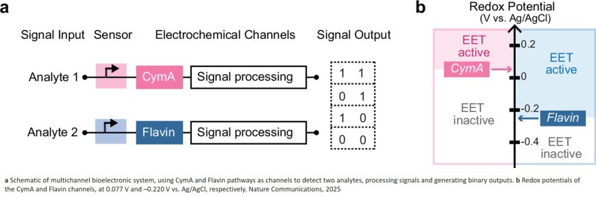 Multichannel bioelectronic sensing using engineered Escherichia coli