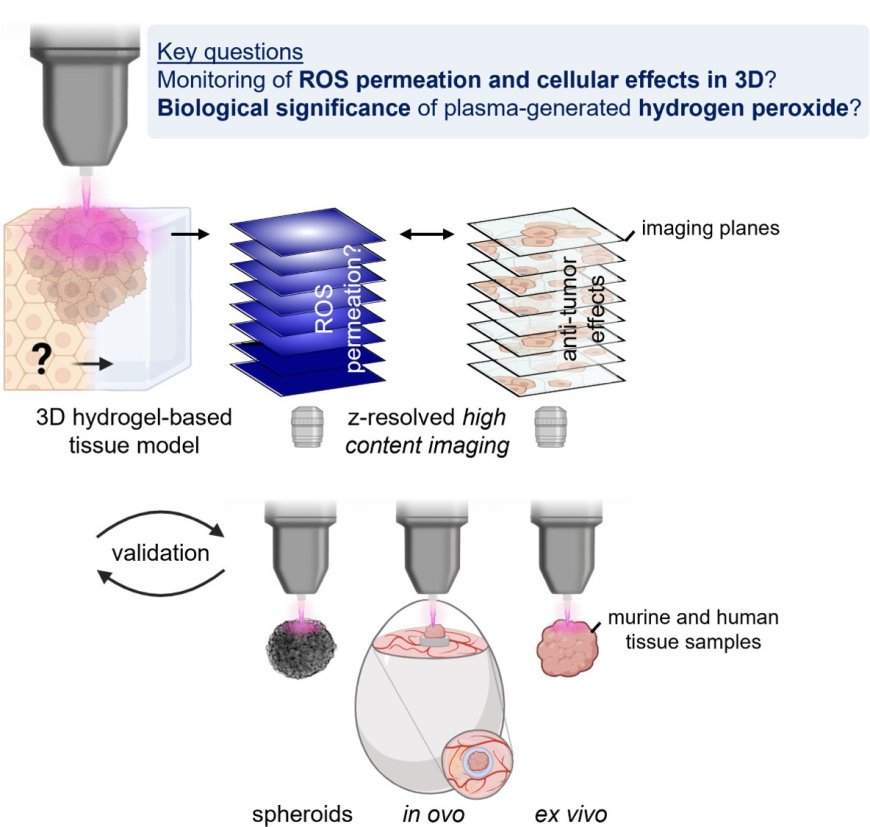 Gas plasma technology mediates deep tissue and anticancer events independently of hydrogen peroxide