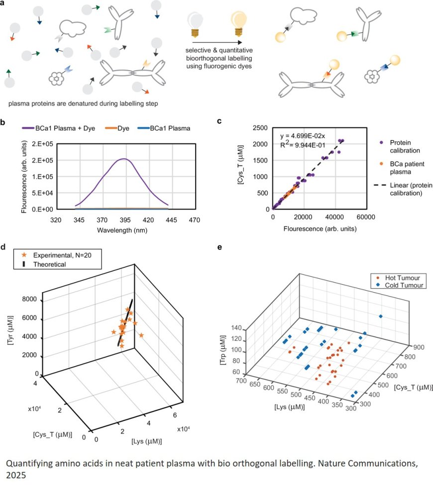 Immunodiagnostic plasma amino acid residue biomarkers detect cancer early and predict treatment response