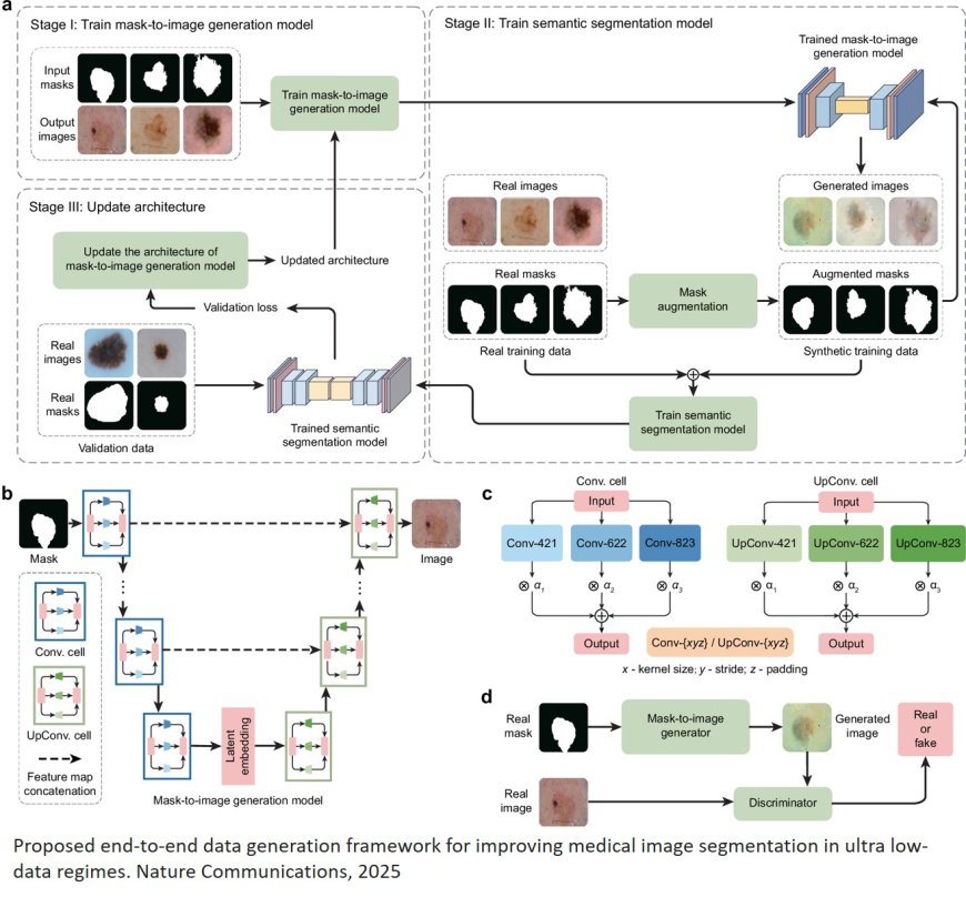 Generative AI enables medical image segmentation in ultra low-data regimes