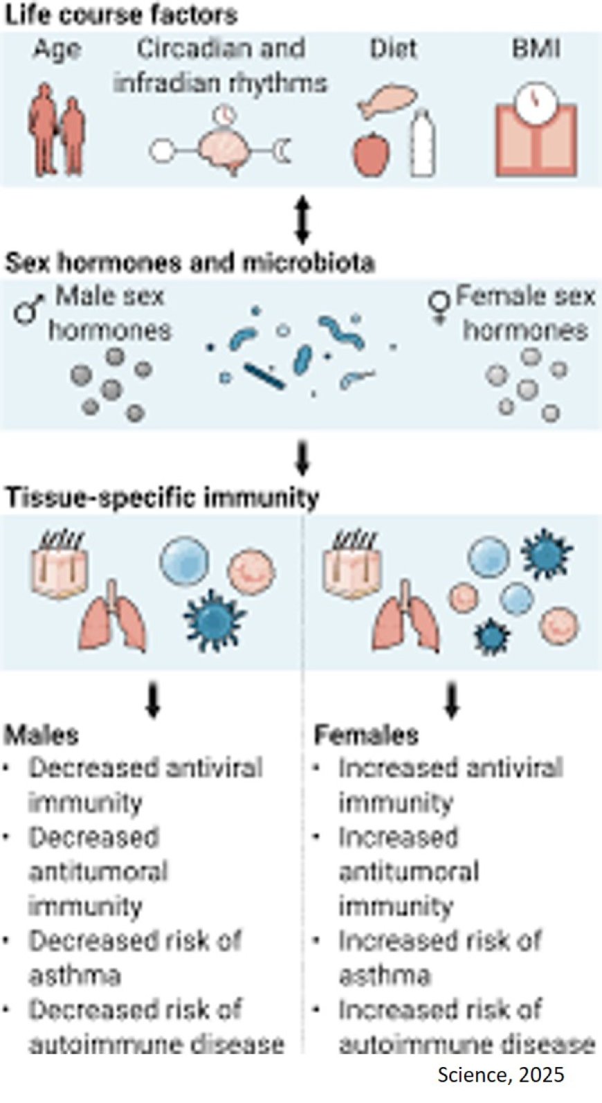 Sex differences in tissue-specific immunity and immunology