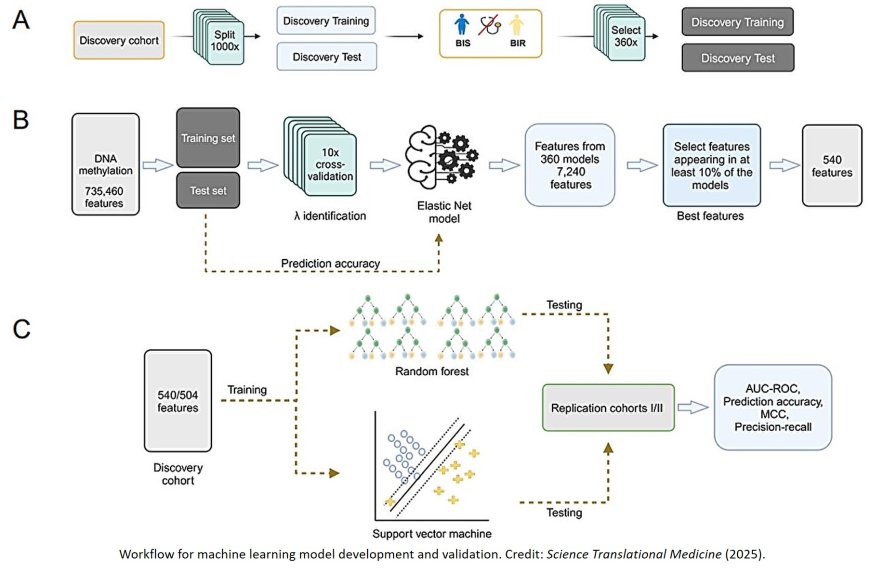 Circulating epigenetic signatures classifying brain insulin resistance in humans