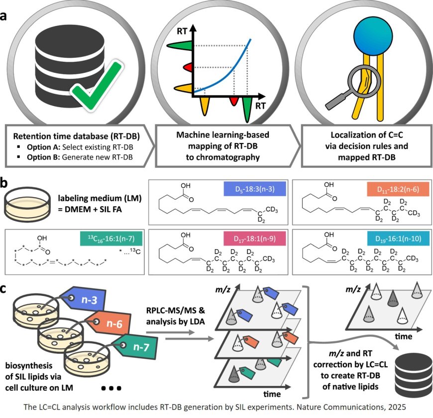 Computationally unmasking each fatty acyl C=C position in complex lipids by routine LC-MS/MS lipidomics