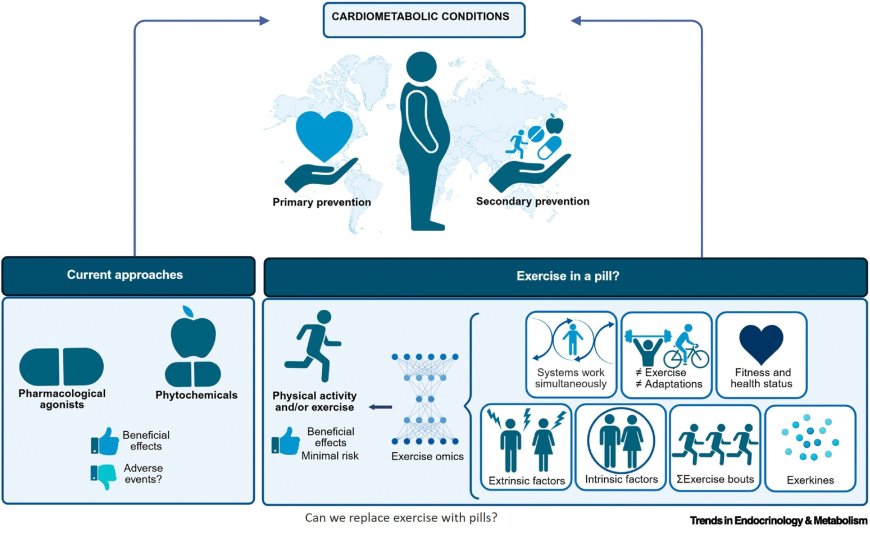 Pills may not fully replace exercise!