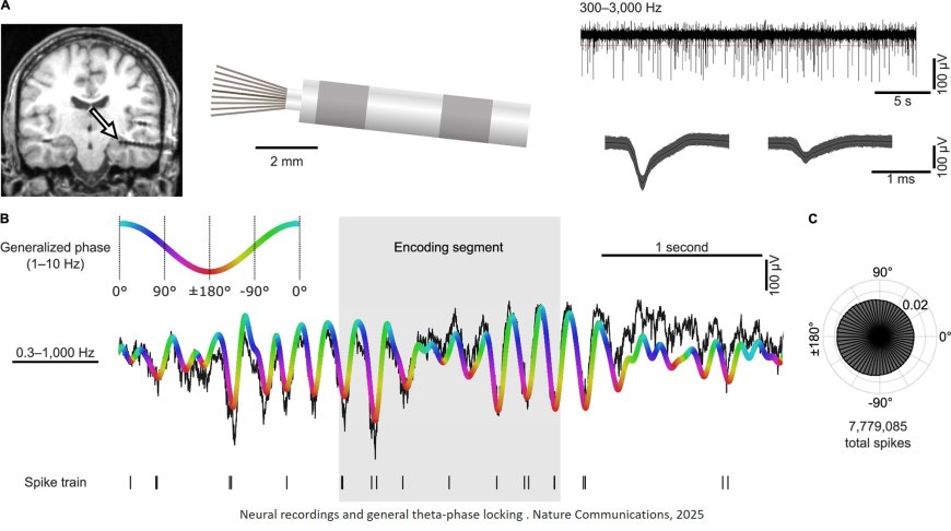 Theta-phase locking of single neurons during human spatial memory