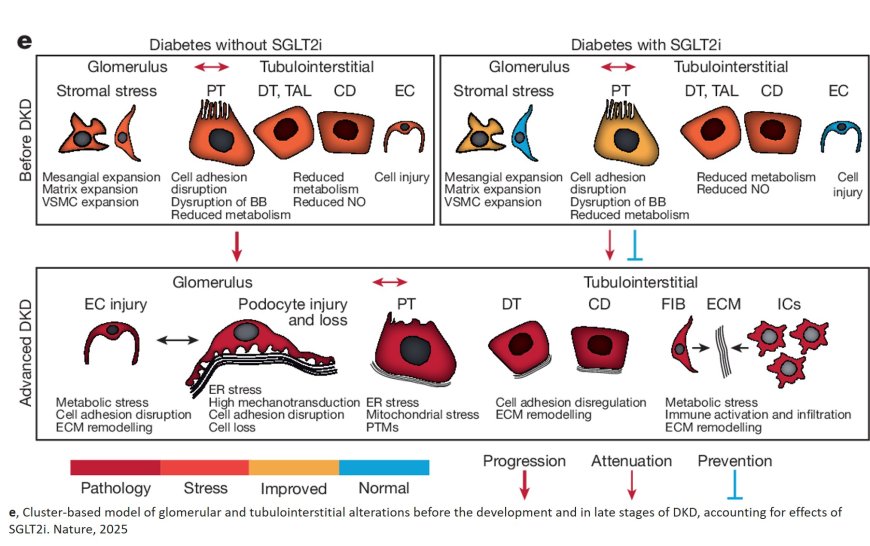 Pathology-oriented multiplexing enables integrative disease mapping