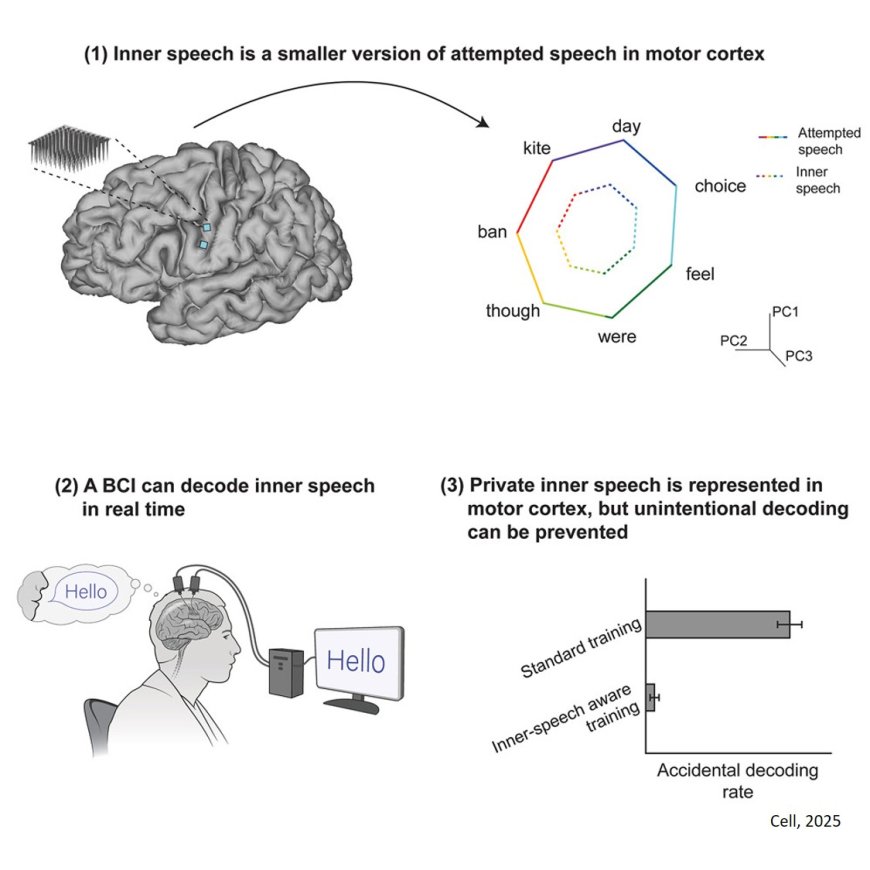 Inner speech in motor cortex and implications for speech neuroprostheses
