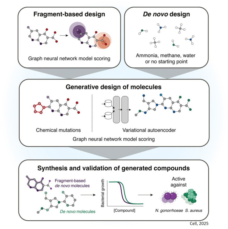 Generative AI to design novel antibiotics