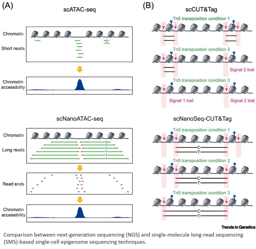Single-cell omics sequencing technologies: the long-read generation