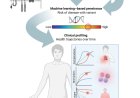 AI and lab tests to predict genetic disease risk