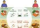 Ultra-processed food consumption decreased sperm motility