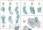 An open-source AI platform to democratize protein design