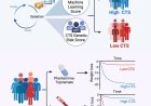 Genetic test predicts response to weight-loss drugs