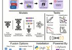 AI to integrate bulk multi-omics data for precision oncology