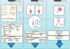 AAV vectors: an emerging strategy for chronic pain management