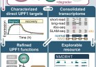 Cellular quality control in humans decoded