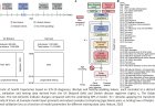 AI model forecasts disease risk decades in advance