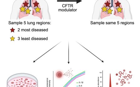 Pseudomonas infections drive persistent lung inflammation after modulators