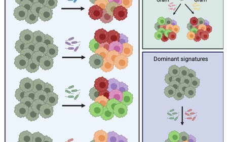Tailored macrophage responses to commensal gut microbiota