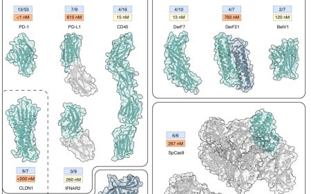 An open-source AI platform to democratize protein design