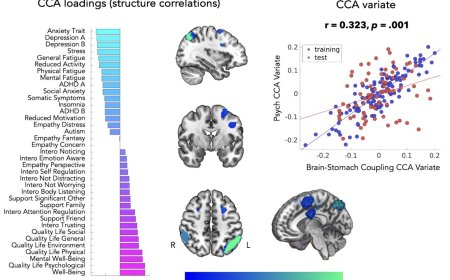 Stomach–brain synchronisation is associated with poorer mental health
