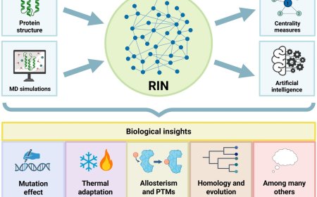 Residue interaction networks to decode protein structures