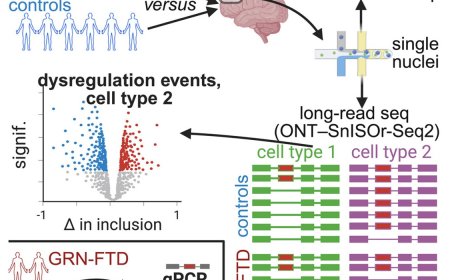 Cell-type-specific and broad splicing dysregulation in FTD