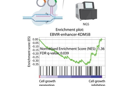 Viral mechanism behind nasopharyngeal cancer spread