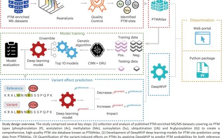 AI reveals how protein modifications link mutations to disease