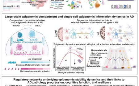 Epigenomic rewiring in Alzheimer’s disease progression and cognitive resilience
