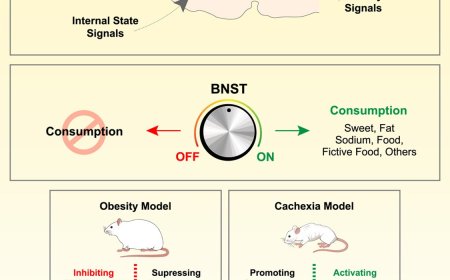 Regulating brain center to control consumption