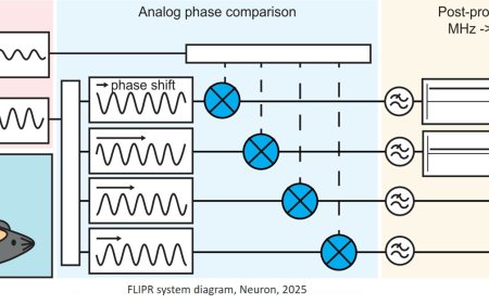 FLIPR to measure fast and slow neuronal signals