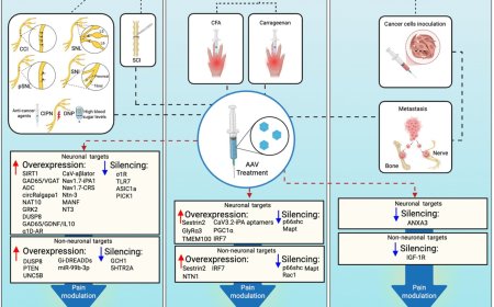 Chronic pain management using AAV vectors