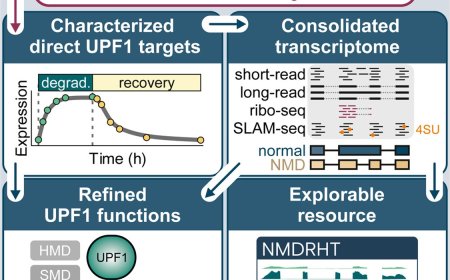 Cellular quality control in humans decoded